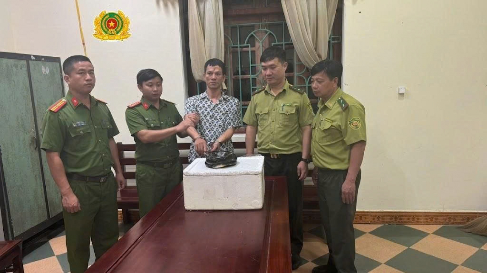 Bị khởi tố vì mua rắn hổ chúa để "sử dụng cá nhân"